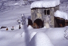 Frantoio e Magi con neve